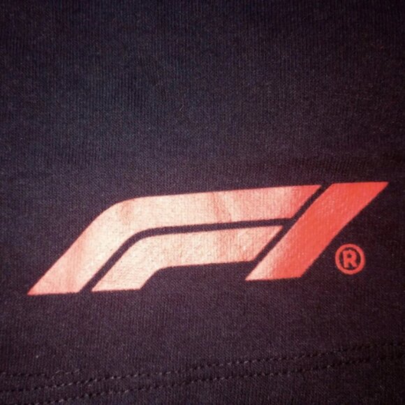 FORMULA 1 Black/Red Graphic Logo Racing Shorts Women's 1X - Picture 4 of 10